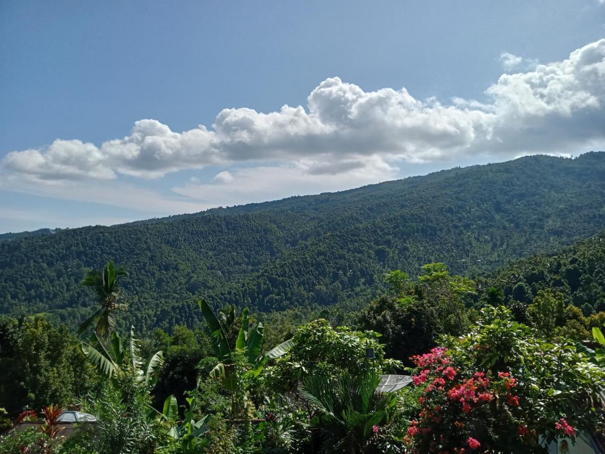 Aris Homestay And Warung Made Munduk Buitenkant foto